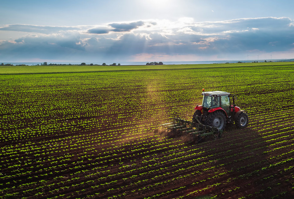 La agricultura sufre un desperdicio colosal de nitrógeno que provoca estragos en la naturaleza